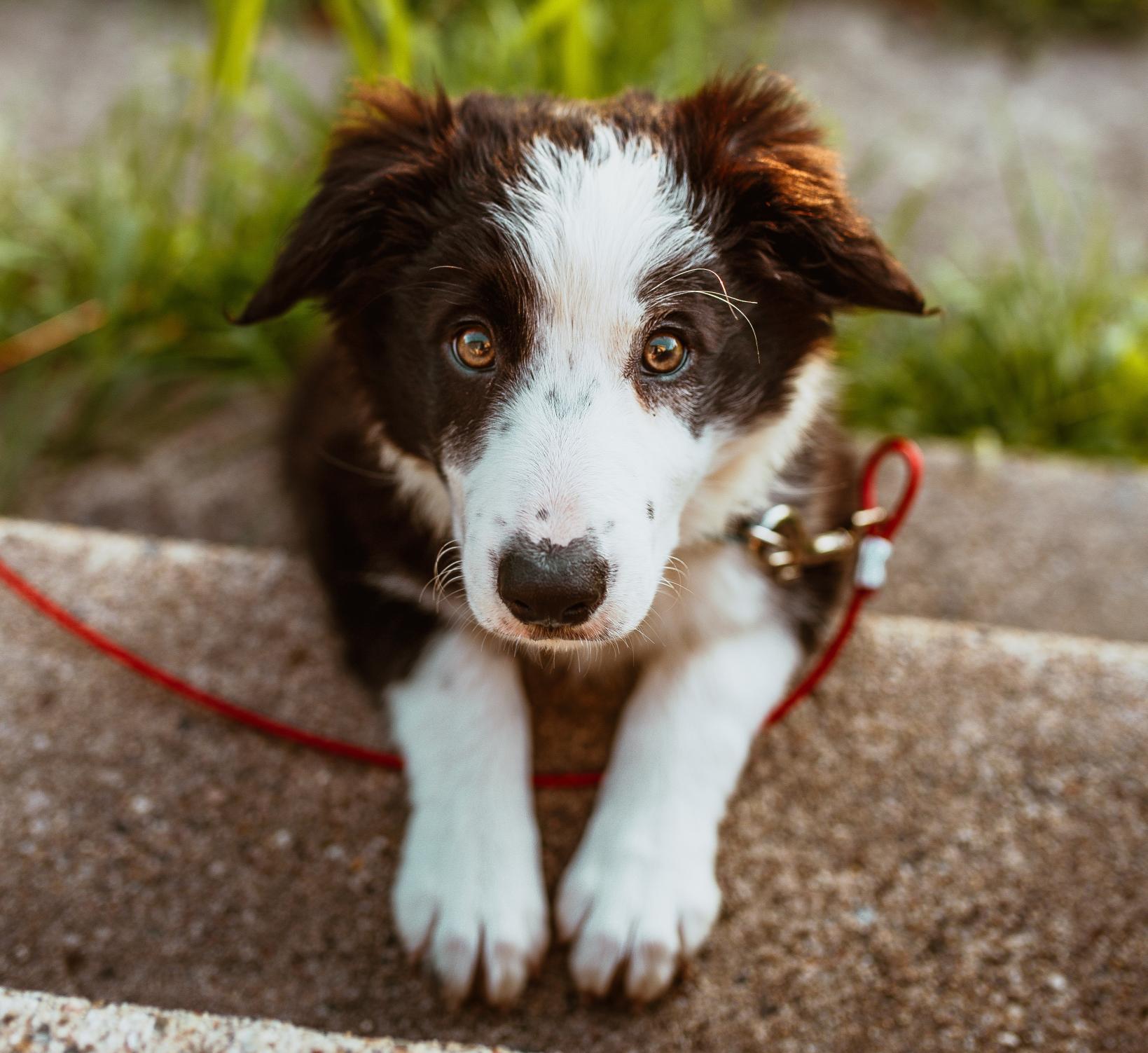 Using a function and a modal form to retrieve user data